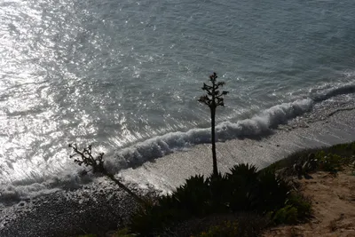 DSC_6999 (Large).JPG